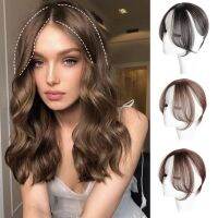 WEILAI Bangs Wig Hair Extension Synthetic Clip