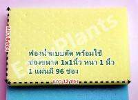 ฟองน้ำพร้อมใช้ แบบตัด ชุด 20 แผ่น สำหรับปลูกผักไฮโดรโปนิกส์ ขนาด 1x1 นิ้ว