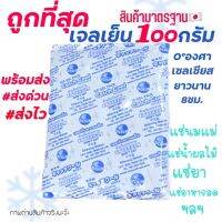 เจลเก็บความเย็น 100กรัม Ice Pack 100g อุณหภูมิ 0cํ แช่อาหาร แช่ของสด แช่น้ำนม เก็บรักษาอุณหภูมิ เก็บความเย็น