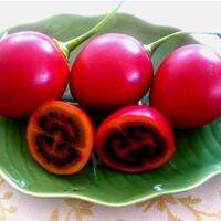 เมล็ดพันธุ์ ทามาริลโล่ มะเขือเทศต้น Tamarillo Seed บรรจุ  เมล็ด คุณภาพดี ราคาถูก ของแท้ 100% [ไม่ใช่พืช! เป็นเมล็ดพันธุ์] [คลังสินค้าจุด][ขายตรงจากโรงงาน][ของแท้อย่างเป็นทางการ][โปรโมชั่นลดราคา][50 เมล็ดพันธุ์][เมล็ดผลไม้][เมล็ดพันธุ์ผัก][อร่อยจัง][ปลอดภั