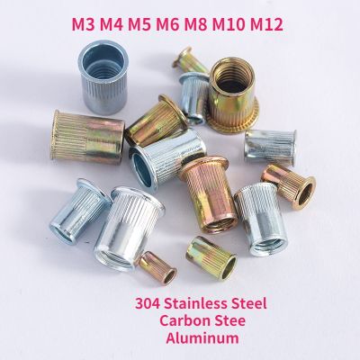 M3 M4 M5 M6 M8 M10 M12 304 Stainless Steel Flat Head Rivet Nut Rivnut Zinc Plated Cap Rivet Threaded Nut Aluminum Rivet Nuts