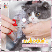 i and cat กรรไกรตัดเล็บน้องแมวขนาดกระทัดรัด กรรไกรตัดเล็บได้ทั้งสุนัขและแมว