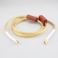 Hi-End Nordost ODIN Gold USB 2.0 A to USB B Cord USB DAC Data Cable Hifi Audio USB Sound Card Connection Audio Sound Wire