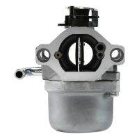 590399 Carburetor for &amp; Stratton 796077 Lawn Mower Engine with Gasket Fuel Line Filter Valve