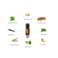 MOTIVATE ESSENTIAL OIL 5ML น้ำหอมธรรมชาติ โมทิเวท โดเทร่า