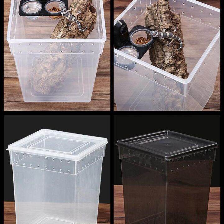 cod-breathable-silkworm-feeding-box-reptile-corn-arboreal-turtle-tank-unicorn-fairy-snail