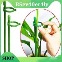 B5ev40er4ly Shop 5/10pcs plant Flower Potted Support stand Holder Stake Stander Fixing Tool Gardening Supplies Shrub for Orchid Bonsai Daisy q1