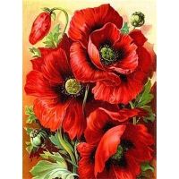 Flower Poppy Pre Printed 11CT Cross Stitch Embroidery Patterns DMC Threads Needlework Handicraft Sewing Hobby Home Needle