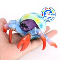 Munich Play - โมเดล Hermit Crab ปูเสฉวน สีรุ้ง ขนาด 12.50 CM (จากหาดใหญ่)