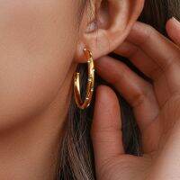 Stainless Steel 18K Gold Plated Clear Colorful Zircon Stone Paved Thin Large Hoop Earrings For Woman Summer Gold Earring Bar  Wine Tools