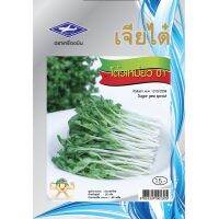 โต้วเหมี่ยว ต้นอ่อนถั่วลันเตา pea sprouts 40เมล็ด เมล็ดพันธุ์ถั่วลันเตา เจียไต๋