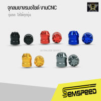 ฝาปิดจุกลม semspeed จุกลมยางรมอไซด์ งานCNC