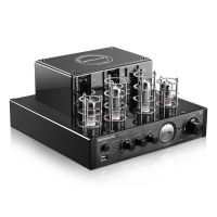 MS-10D HIFI Tube Bluetooth Tube Amplifier U Disk/bluetooth/rca Input 6P1 6N1 Tube AMP