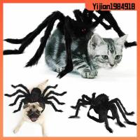 YIJIAN1984918 สนุก ลูกสุนัข ชุดเสื้อผ้า การจำลอง ชุดคอสเพลย์ หมาแมว แมงมุมดำฮาโลวีน เสื้อผ้าแมงมุมสัตว์เลี้ยง