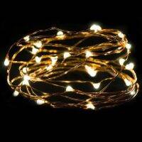 3 Meter 30 LED Silver button battery Mini copper wire garland lights for you