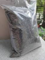 ไนเจอร์ดำ เมล็ดไนเจอร์ดำ (Niger Seed) อาหารเสริมสำหรับนก นกแก้ว กระรอก แฮมสเตอร์ (250กรัม)