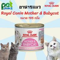 อาหารแมวกระป๋อง Royal Canin Mother&amp;Babycat can โรยัล คานิน เบบี้เคท อาหารเปียก อาหารแมว ขนมแมว ลูกแมว แม่แมว