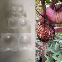 5pcs 5cm Plant Tree Rooting Ball Root Box Plastic Case Transparent Flower Grafting Rooter Growing High-pressure Breeding 6TH