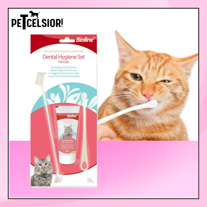 Bioline Cat Dental Care Set Cheese flavour 50mg Lazada PH