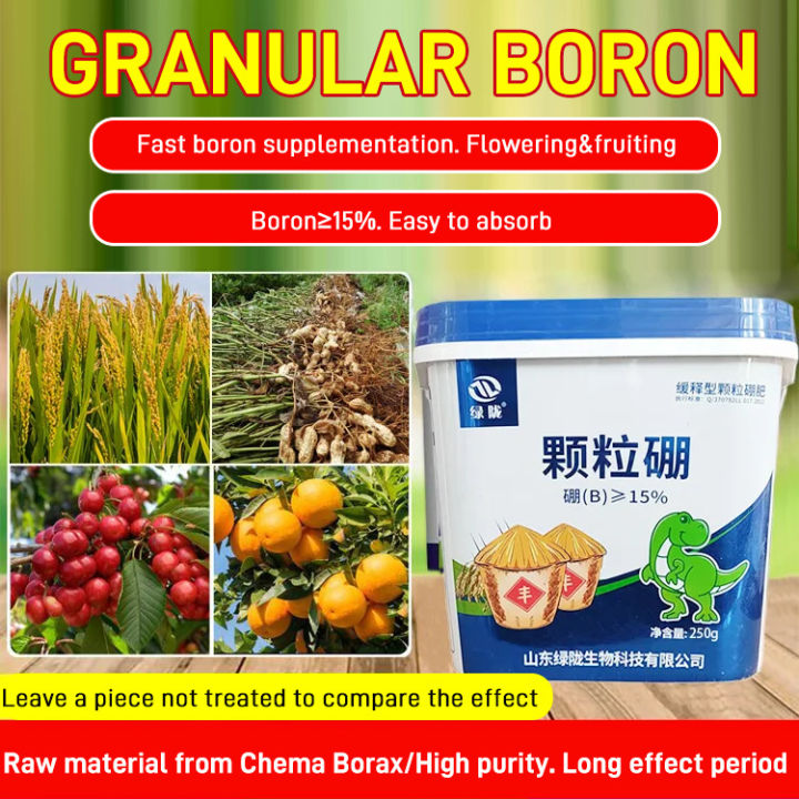 Nicomart Green Granular Boron Fertilizer For Fruit And Vegetables ...