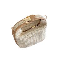 Uniqlo 2023 NEW Korea Dongdaemun ins straw woven small bag casual womens bag hand-held shoulder crossbody bag 2023 summer new style