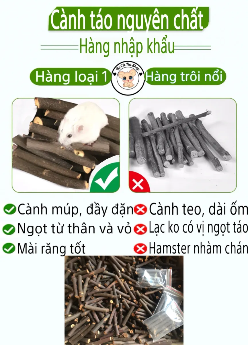 Hình ảnh ăn Xin Cô Gái ăn đất Cô Gái Hoạt Hình Dễ Thương Cô Gái Vẽ Tay Cô  Gái PNG  Cô Gái Nhân Vật Bàn Tay PNG miễn phí tải