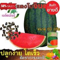 [สินค้าพร้อมส่ง] เมล็ดพันธุ์ แตงโมจินตหรา ( 1 กระป๋อง / 60 กรัม) เนื้อแน่น แดงจัด หวาน เปลือกบาง ขายดี เมล็ดแตงโม แตงโมจินตรา [มีเก็บปลายทาง]