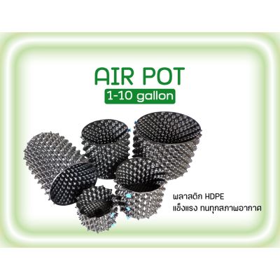 AIR POT กระถางปลูกต้นไม้ 1, 3, 5, 7, 10 ระบายน้ำและอากาศได้ดี รับออกซิเจนมากขึ้น