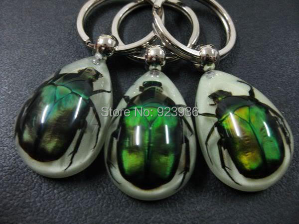 16pcs new items amulet green beetle embedded teardrop glow in dark keychain 