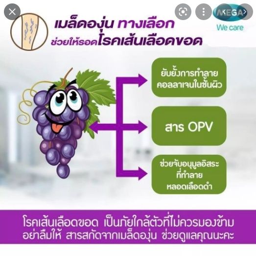 mega-we-care-grape-seed-20mg-เมล็ดองุ่น-สกัด-20-เม็ดและ60เม็ดช่วยทำให้ผิวดูกระจ่างใส