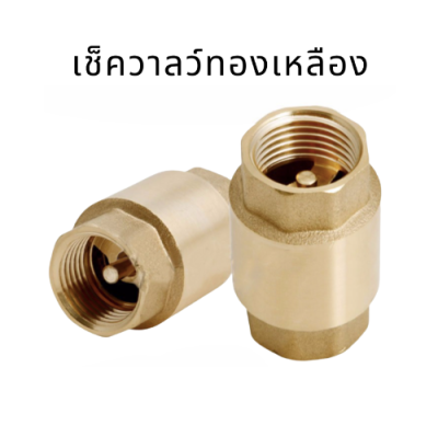 สปริงเช็ควาล์ว เช็ควาลว์ทองเหลือง เช็ควาลว์ Brass check valve