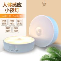 Human body small induction night lamp bedroom wardrobe bedside light control Night Light cabinet corridor creative gift charging night light-CHN