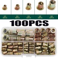 100PCS/lot With Box Carbon Steel Rivet Nuts M3 M4 M5 M6 M8 Multi Size Insert Rivets Flat Head Rivet Nuts Set Hardware Parts