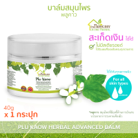 บ้านหมอละออง สูตรเนื้อเจลลี่ บาล์มสมุนไพร พลูคาว แอ๊ดวานซ์ 40g 1 กระปุก ผิวแห้ง สะเก็ดเงิน รอยน้ำเหลืองเสีย ใช้ได้ ฟรีค่าส่ง 30 บาทแรก บาล์มพลูคาว PluKaow หมอละออง Plu Kaow Herbal Advanced Balm ได้รับเลขทะเบียนการผลิตตามกฎหมาย สูตรตำรับสมุนไพรพลูคาว