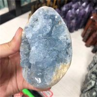 、‘】【【 New Arrivals Crystals Minerals Healing Stones Egg Shaped Natural Blue Celestite Crystals Geode For Home Decoration