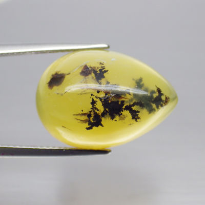 พลอย โอปอล ต้นไม้ ธรรมชาติ แท้ ( Unheated Natural Dendrite Dendritic Opal ) 15.86 กะรัต
