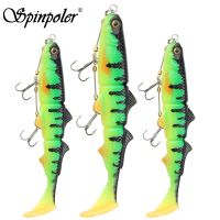 Spinpoler Pike Stinger Rig Hook Systerm with 3D Swimbait Soft Lure Fishing Bait Paddle T Tails For Zander Pike Big Game Fish