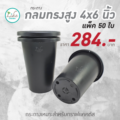 กระถางกลมทรงสูง 4x 6 นิ้ว แพ็ค 50 ใบ สีดำ กระถางพลาสติก กระถางปลูกต้นไม้ กระถางปลูกแคคตัส กระถางราคาถูก กระถางปลูกตอกราฟแคคตัส