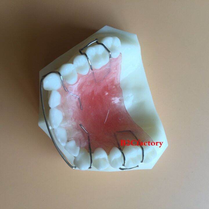 dental-hawley-retainer-model-teeth-study-teach-model-3007-01