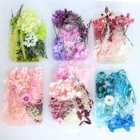 【YF】□  Rich Variety Dried Flowers for Resin MoldsReal Pressed Dry Leaves BulkDry Candle MakingEpoxy