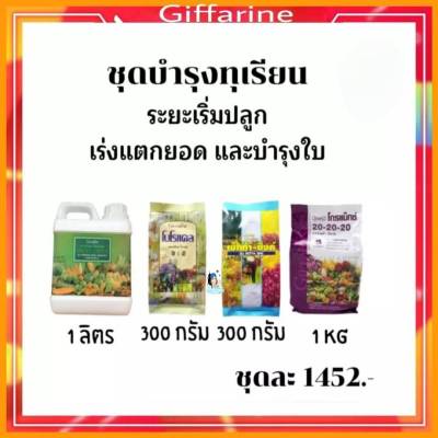 ชุด ปุ๋ย ทุเรียน กิฟฟารีน ระยะเริ่มปลูก ระยะบำรุงใบ ระยะแรกปลูก ปุ๋ยทางใบ