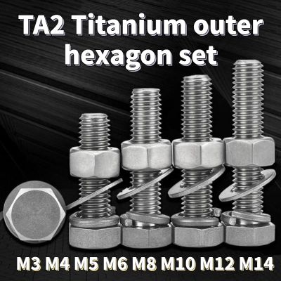 1Set TA2 Set Mur Pencuci Musim Semi Sekrup Segi Enam Eksternal Titanium Murni M3 M4 M5 M6 M8 M10 M12 M14