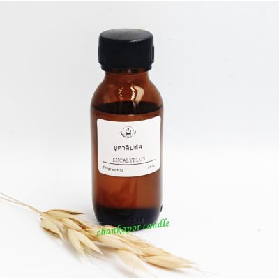 กลิ่นยูคาลิปตัส ขนาด 25 ml. Fragrance oil สำหรับทำเทียนหอม เทียนสปา สบู่