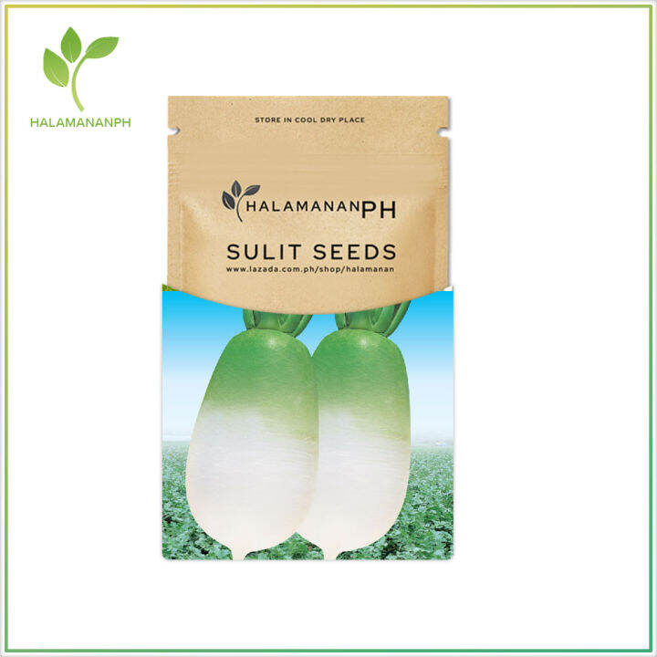 30 KOREAN RADISH JOESEON MU RADISH SUPER SULIT VEGETABLE SEED PACK
