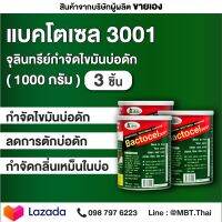 แบคโตเซล 3001 1000 กรัม 3 กระป๋อง BACTOCEL ดับกลิ่นเหม็นไขมัน บ่อดักไขมัน สลายไขมัน ท่ออุดตัน ไขมันหนา ไขมันแข็ง ย่อยสลายไขมัน อ่างตัน อ่างเหม็