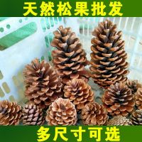 [COD] [100 pine cones are more favorable] cone decoration ball dried flower wholesale handmade