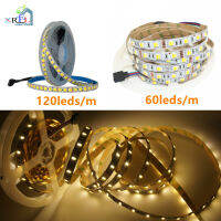 DC12v/24V สีขาวอบอุ่นสีขาวและสีขาว2 In 1ชิป5050/5025เทป Led สี Tem Ajuคงที่กันน้ำ60 /120 Leds เทปไฟ LED