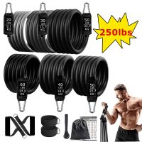 250lbs Resistance Bands Set Fitness Workout Gym Pull Rope Yoga Latex Tube Sports Elastic Booty Bands Exercise Equipment for Home Exercise Bands