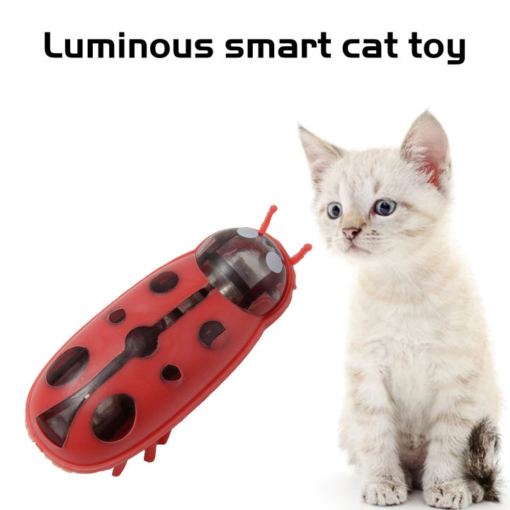 ของเล่นรูปแมลงนาโนเหยื่อแมวไฟฟ้า-relief-ของเล่นหยอกแมวเบื่อของเล่นตัวเองเหมาะสำหรับอุปกรณ์เลี้ยงแมว