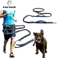 Hands Free Dog Leash for Running  Walking  Hiking  Dual-Handle Bungee Leash With Reflective Stitching Adjustable Waist Belt Collars